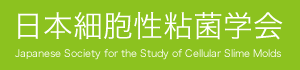 日本細胞性粘菌学会