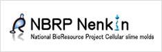 NBRP Nenkin